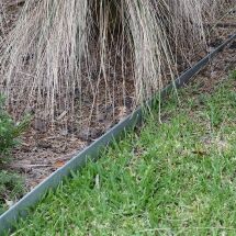 A metal garden edging separates a patch of green grass from a mulched area with ornamental tall dry grass. The edging creates a neat boundary between the lawn and the planting bed.