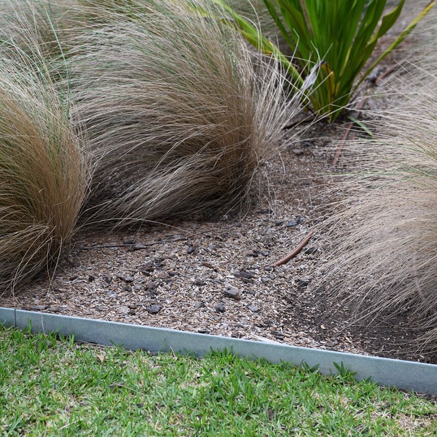 Clumps of ornamental grass with long, tan, wispy blades grow in a garden bed bordered by metal edging, beside a patch of green grass.