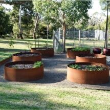 Six round, rust-colored metal garden beds, edged with FormBoss Metal Edging, are arranged in a yard. Each holds lush green plants, surrounded by trees, grass, and a mesh fence as sunlight casts gentle shadows across the scene.