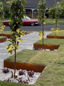 Young trees planted in square beds with white stones and small purple plants line a neat garden path. Soft lighting highlights the landscaping. A vintage red car is parked on the street in the background.